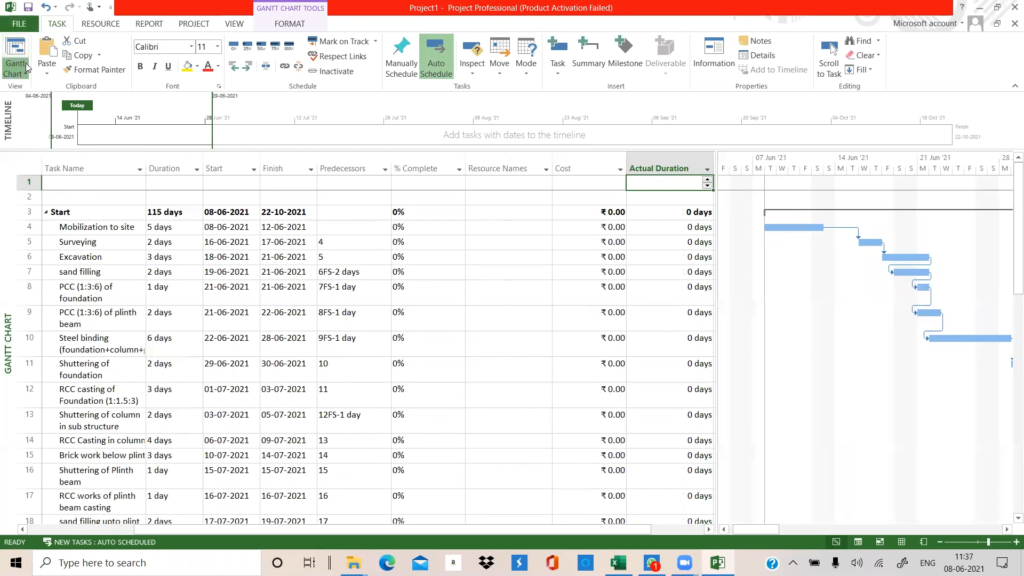 Microsoft Project Professional Screenshot 2