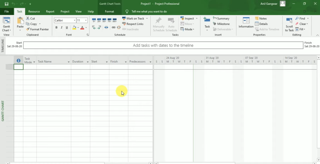 Microsoft Project Professional Screenshot 3