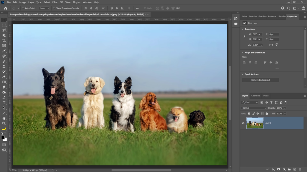 Adobe Photoshop 2022 Screenshot 1