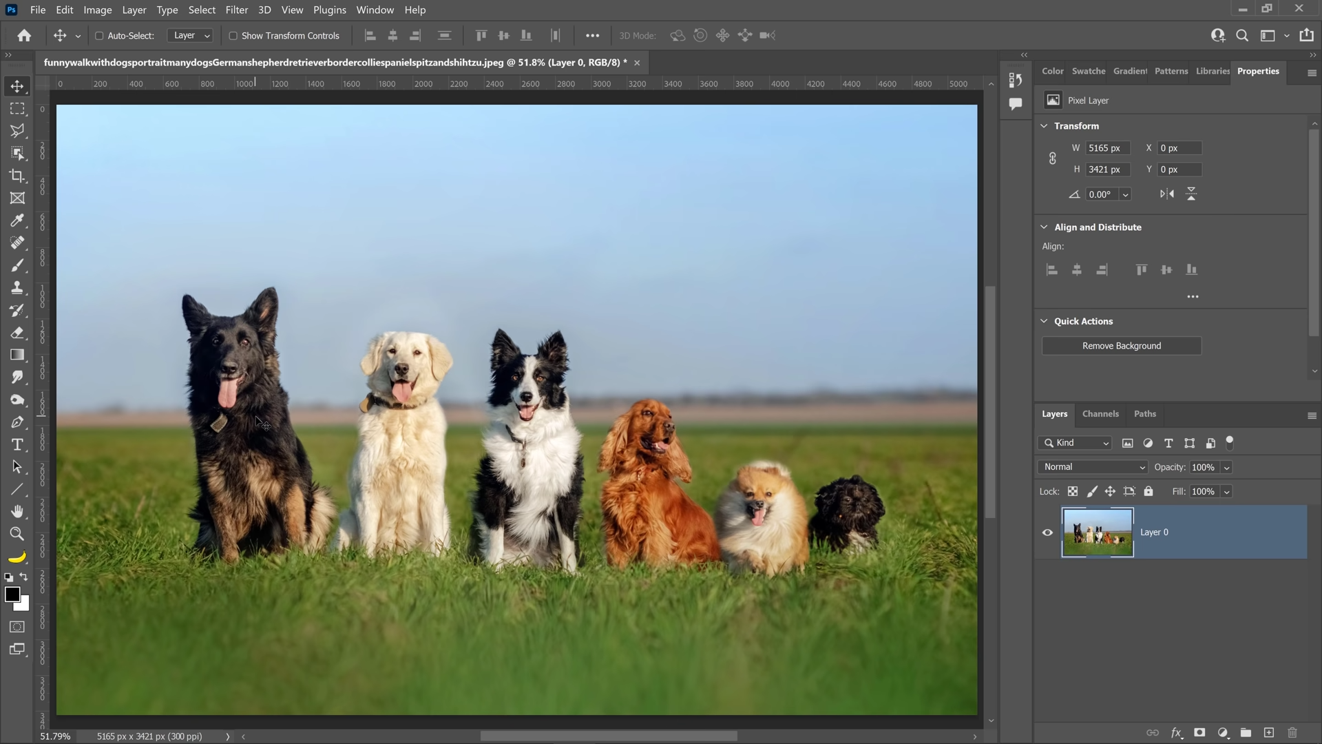 adobe photoshop cc 2022